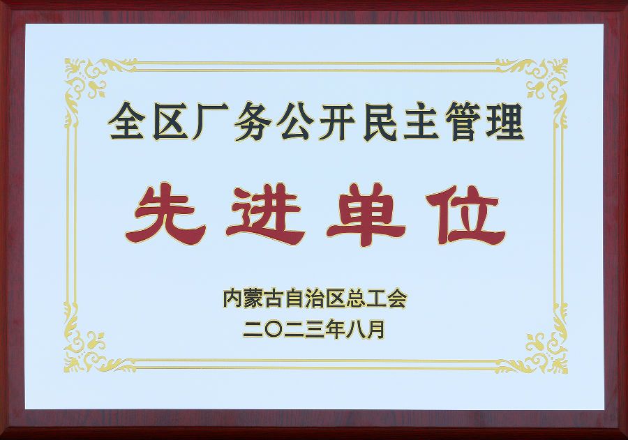 02 东方希望乌海电石荣获全区厂务公开民主管理先进单位 (2).jpg